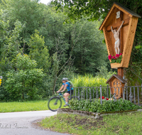 fileadmin/roha/images_galerie/Freizeit-Sport/Mountainbike-Radfahren/SPO-MOUN-AN-WO-0004-D-roha-Sport-Mountainbike-Radfahren-Anger-Wolfertsau-Wegkreuz.png