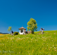 fileadmin/roha/images_galerie/Freizeit-Sport/Mountainbike-Radfahren/SPO-MOUN-TEIS-FREID-0008-D-roha-Sport-Mountainbike-Teisendorf-Freidling-Kapelle.png