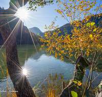 fileadmin/roha/images_galerie/stimmung-Sonne/BAD-REI-THUM-0102-D-roha-Bad-Reichenhall-Thumsee-Herbst-Sonne-Baum.png