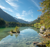 fileadmin/roha/images_galerie/orte_landschaft/Berchtesgaden/Ramsau/BGD-RA-HI-0019-01-D-roha-Berchtesgaden-Ramsau-Hintersee-Wasser-Herbst.png