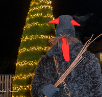 fileadmin/roha/images_galerie/brauchtum/Weihnachten/BR-WEIH-NIKOL-0012-0-06-roha-Brauchtum-Weihnachten-Krampus.png