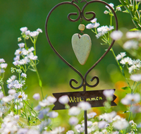 fileadmin/roha/images_galerie/Baum-natur-garten/Haus-Blumenschmuck-Deko/LANDA-WILLK-0008-D-roha-Landart-Garten-willkommen-Schild.png