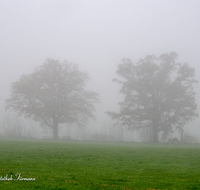 fileadmin/roha/images_galerie/stimmung-Sonne/STIM-TEI-AN-RA-0016-D-roha-Stimmung-Teisendorf-Anger-Ramsau-Nebel-Eiche-Weg.png