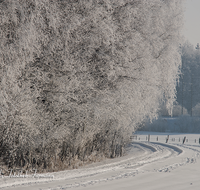 fileadmin/roha/images_galerie/Winter/WINT-TEI-UF-0005-D-roha-Winter-Teisendorf-Ufering-Weg-Schnee.png