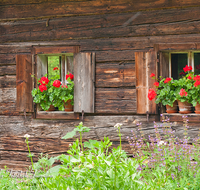 fileadmin/roha/images_galerie/Fenster-Tueren/GROSSG-BAU-MU-0001-2-D-roha-Grossgmain-Bauernhofmuseum-Bauernhaus-Blumenschmuck.png