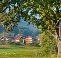 fileadmin/roha/images_galerie/kirche_religion/Teisendorf/Freidling-Berg-Stoisseralm/KKKM-TEIS-BERG-SCHN-0009-D-roha-Wegkreuz-Teisendorf-Schnelling.png