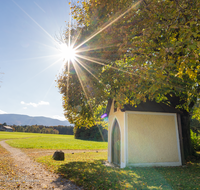 fileadmin/roha/images_galerie/stimmung-Sonne/KKKM-TEIS-RUECK-0040-D-roha-Kapelle-Oberstetten-Teisendorf-Sonne-Weg-Herbst.png