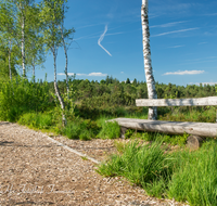 fileadmin/roha/images_galerie/wege/LANDA-BANK-SCHOE-MO-0009-D-roha-Landart-Bank-Weg-Schoenramer-Moor-Petting-Birke.png