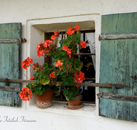 fileadmin/roha/images_galerie/Fenster-Tueren/LANDA-FENST-0006-1-D-roha-Landart-Fenster-Bauernhaus-Blumenschmuck-Fensterkreuz.png