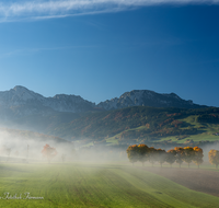 fileadmin/roha/images_galerie/orte_landschaft/Anger/Anger/Anger-Landschaft/LANDS-ANG-STEINH-0018-D-roha-Landschaft-Anger-Steinhoegl-Hochstaufen-Zwiesel-Herbst.png