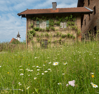 fileadmin/roha/images_galerie/orte_landschaft/Saaldorf/SAAL-SILL-DOR-0001-D-roha-Saaldorf-Sillersdorf.png