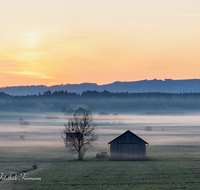 fileadmin/roha/images_galerie/orte_landschaft/Haarmoos/SO-AU-HAARM-0030-0450-D-roha-Sonne-Sonnenaufgang-Haarmoos-Nebel-Leobendorf.png