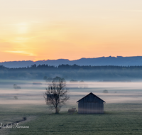 fileadmin/roha/images_galerie/orte_landschaft/Haarmoos/SO-AU-HAARM-0030-0450-D-roha-Sonne-Sonnenaufgang-Haarmoos-Nebel-Leobendorf.png