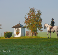 fileadmin/roha/images_galerie/Freizeit-Sport/SPORT-REIT-0010-D-roha-Sport-Reiten-Freidling-Kapelle-Herbst-Pferd.png