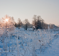 fileadmin/roha/images_galerie/Winter/STIM-TEI-KARL-WI-0007-D-roha-Stimmung-Winter-Sonne-Teisendorf-Karlsbach-Schnee.png