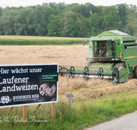 fileadmin/roha/images_galerie/Landwirtschaft/WIENINGER-LANDW-MAEH-0003-D-roha-Wieninger-Brauerei-Landweizen-Triebenbach-Schild-Maehdrescher.png